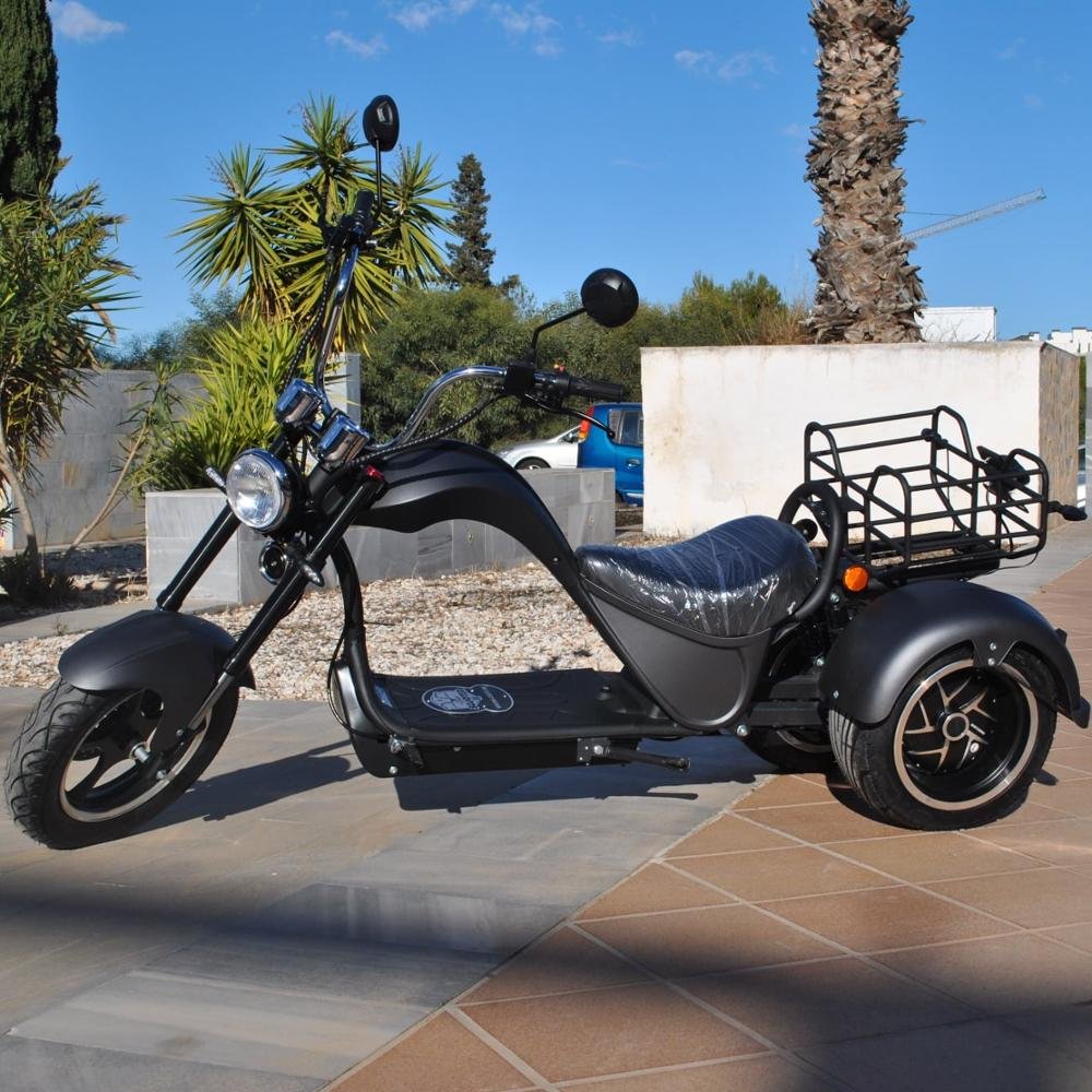 Amoto M1 3 wheel fat tire escooter electric scooter citycoco 2000W 60V 20AH lithuim battery