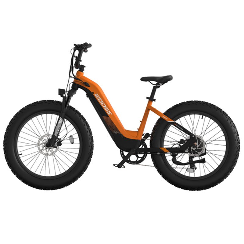 Edoesz10 Electric Scooter for Adults Long Endurance with Lithium Battery for Motorcycle Walk & Ride Z10 Series