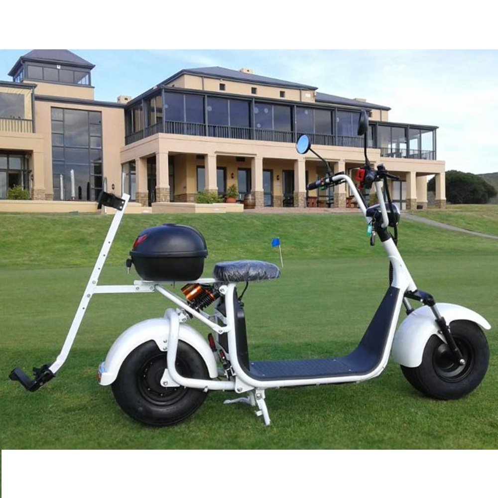 2022 EEC Mopeds For Adults Scooter 60V 20Ah Electric Golf Scooters Electric Scooter Citycoco 1500W