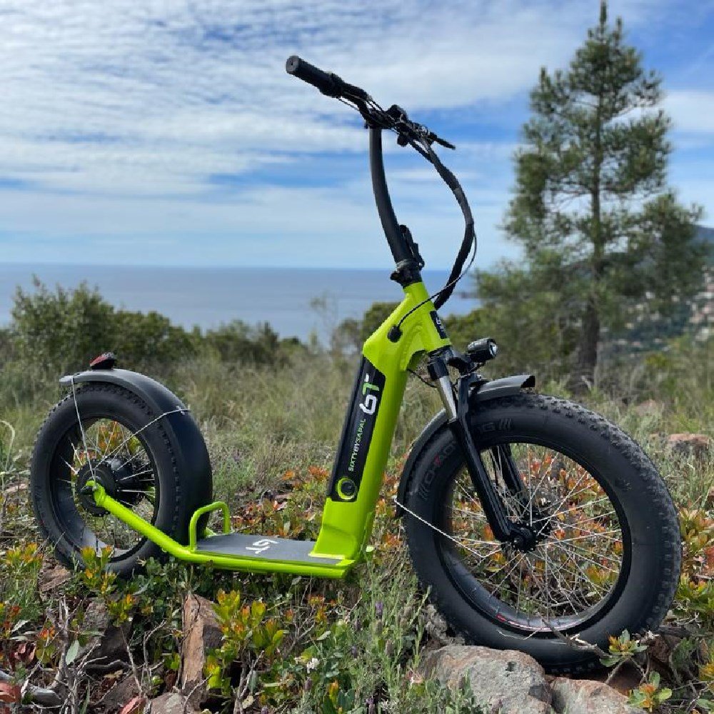 500W Wide Wheel Foldable City Coco Electric Scooter