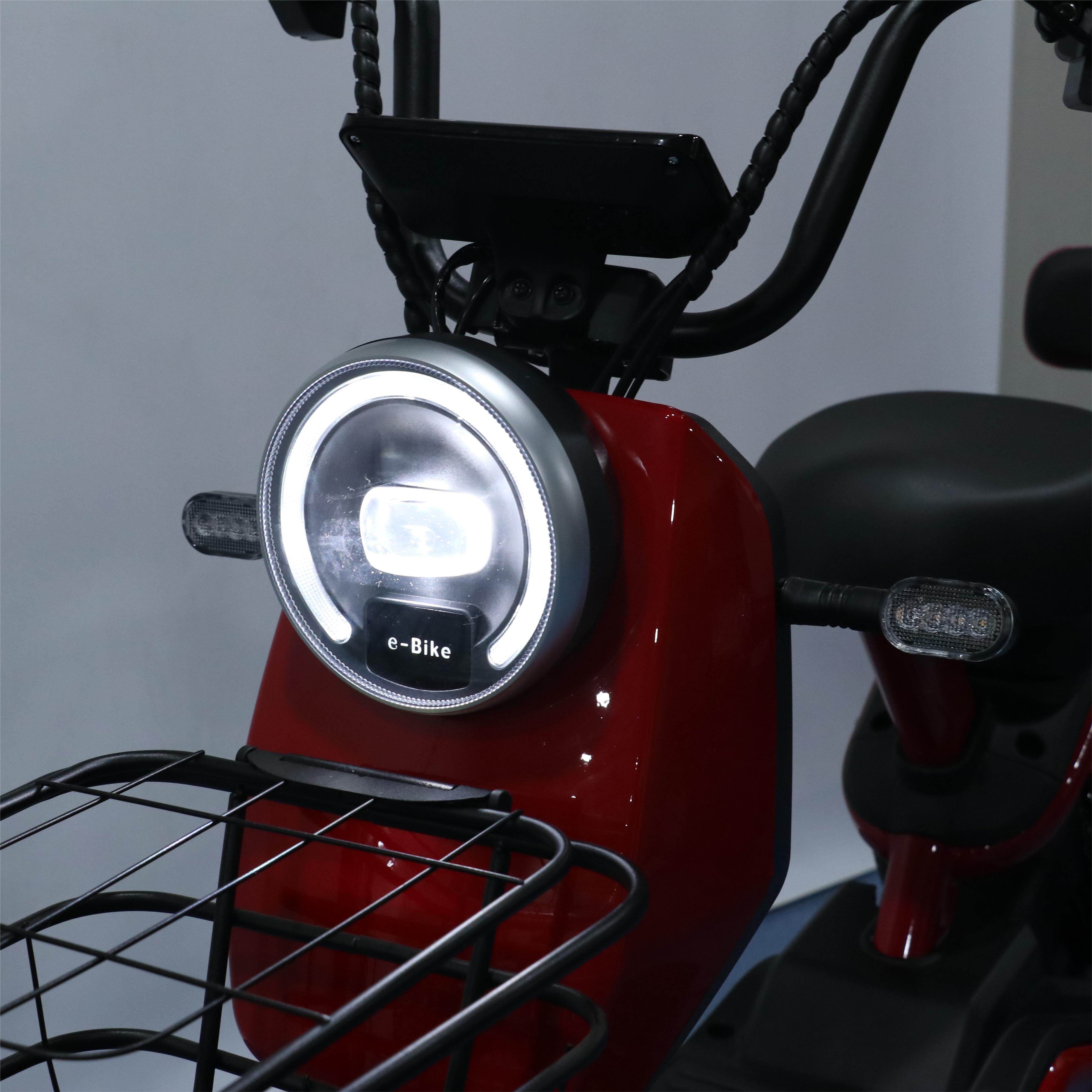 High Power Electric Bicycle Long Range 80km Ebike Lead Acid Battery Electric Scooter for Adult