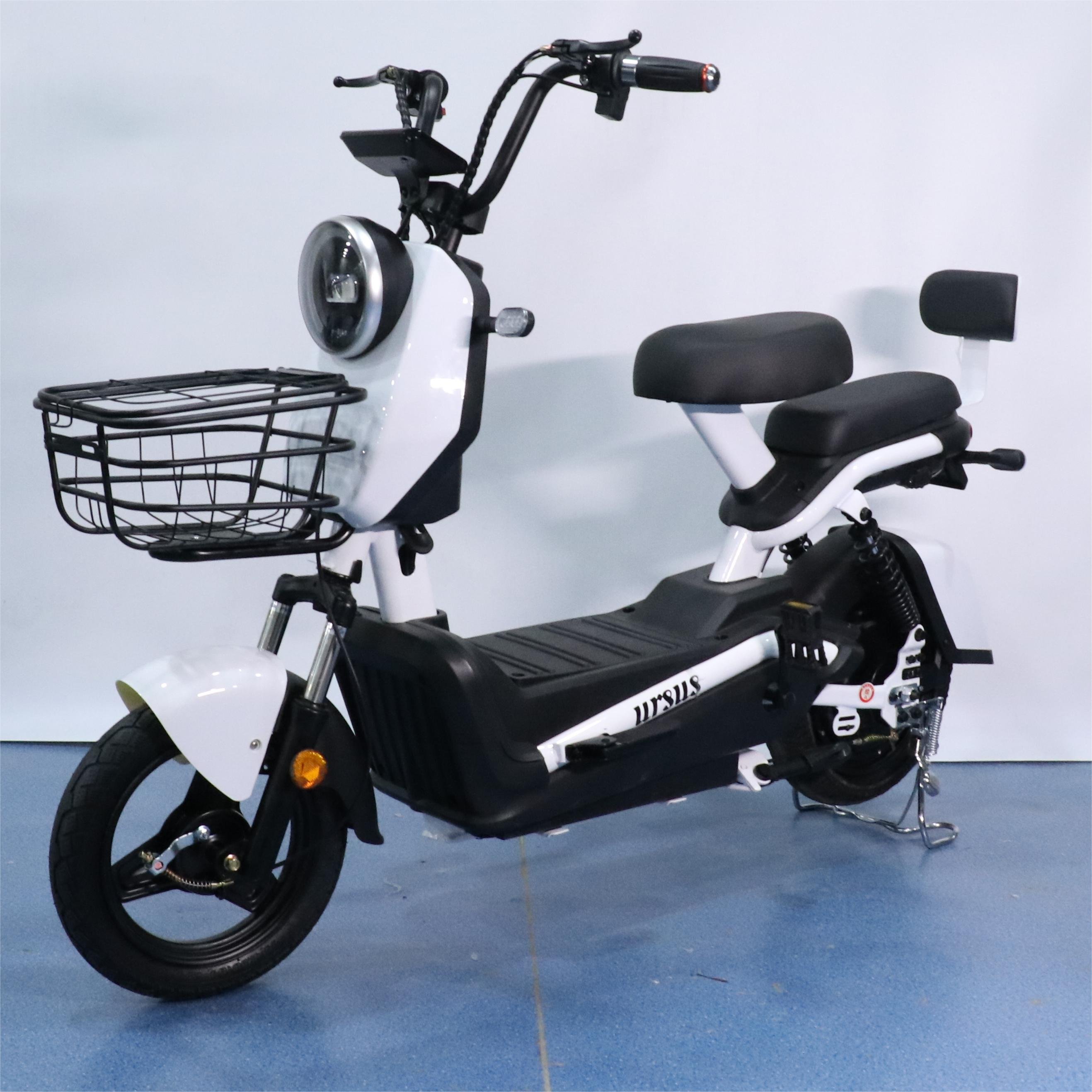 High Power Electric Bicycle Long Range 80km Ebike Lead Acid Battery Electric Scooter for Adult