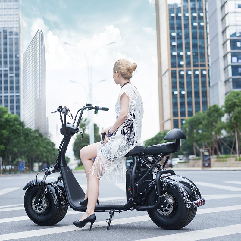 citycoco 2 wheel electric scooter with removable battery 40km/h 55km