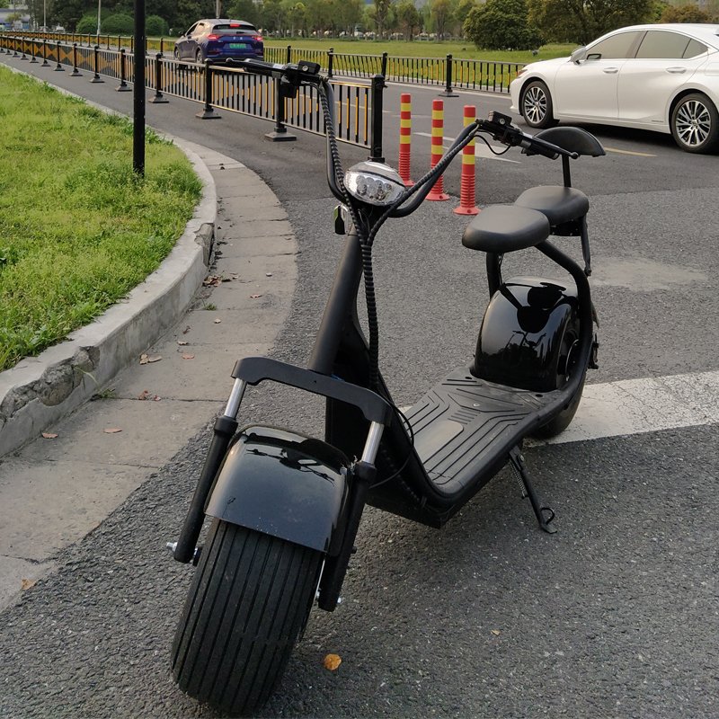 model EH01 best seller pedal assist electric bicycles 1000 w 16 ah 8 in electric motorcycle scooter