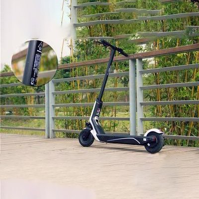 Cheap Price Electric Mobility Scooter Speedway 3 500W 48V 13Ah/10.4Ah Li-on Battery 2 Wheels Electric Scooter
