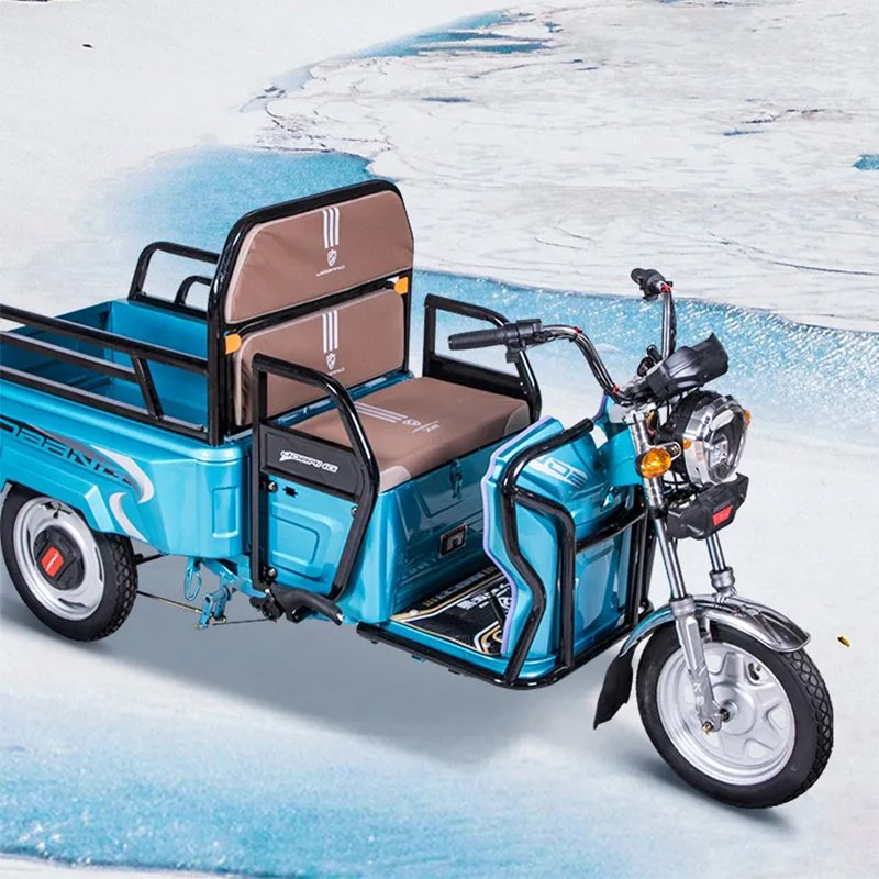 Wholesale price 500W electric tricycle scooter high speed electric tricycle for adult