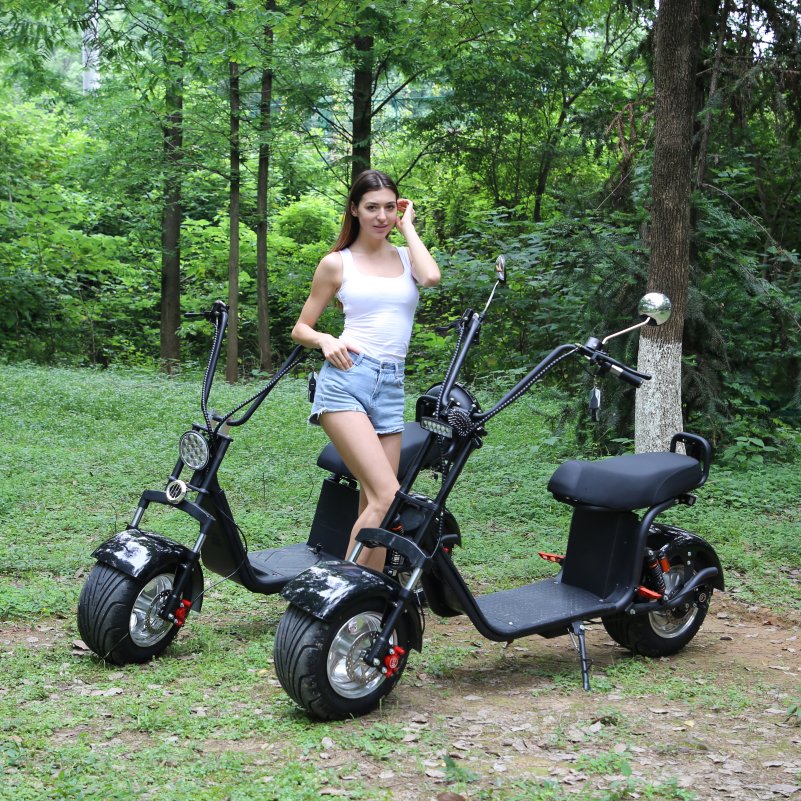 Electric Golf Scooter 10inch 2000W Powerful Fat Wheel 8 inch Citycoco Electric scooters