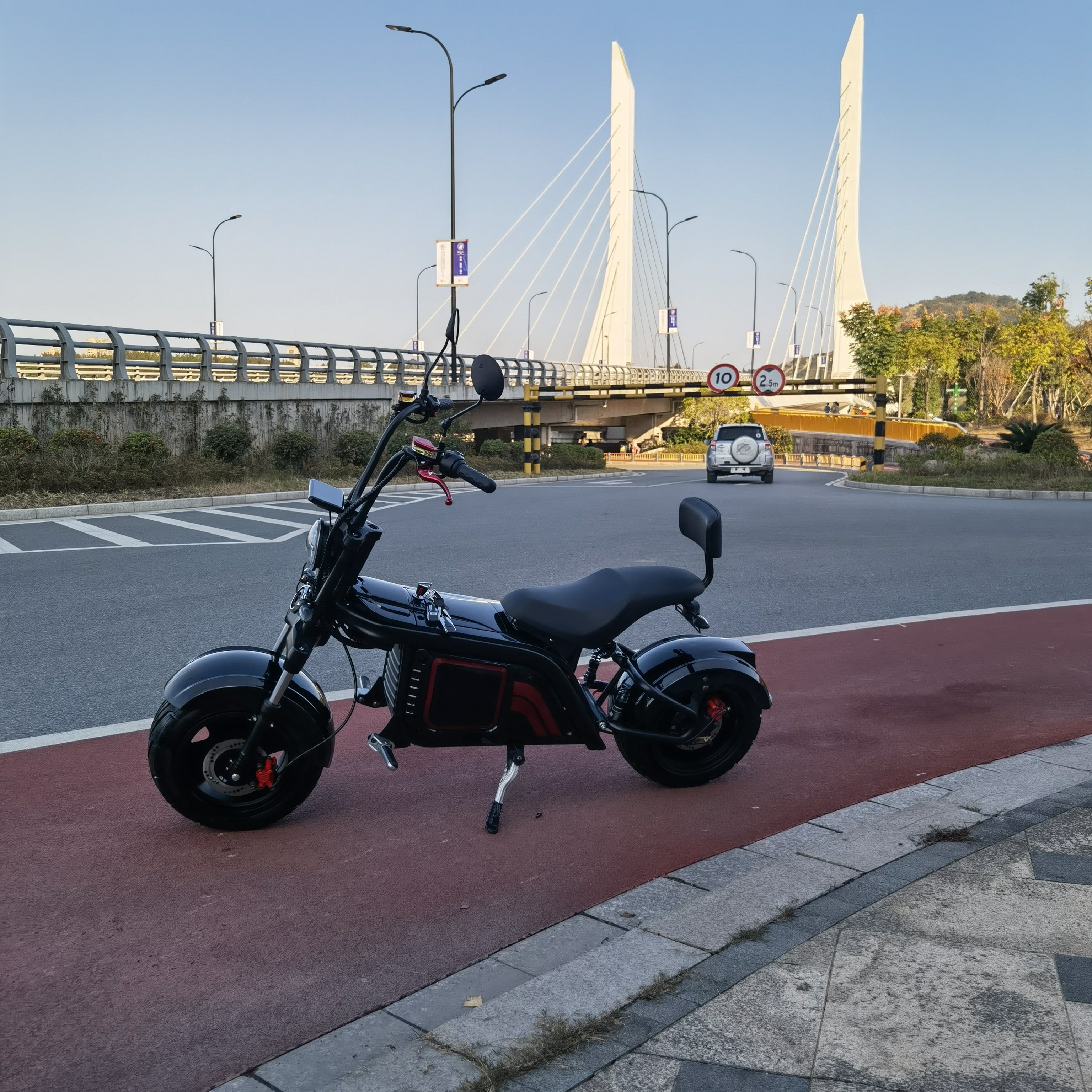 New Design Citycoco 3000W 2000W 63V EEC/COC Electric Scooter