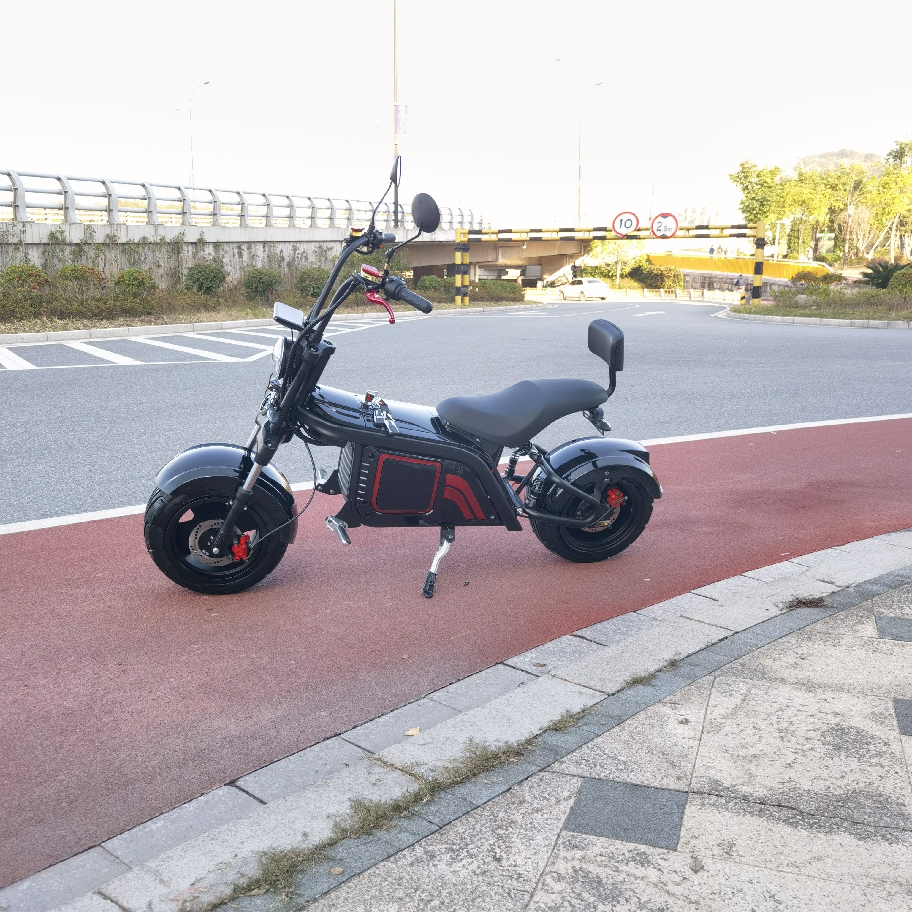 New Design Citycoco 3000W 2000W 63V EEC/COC Electric Scooter