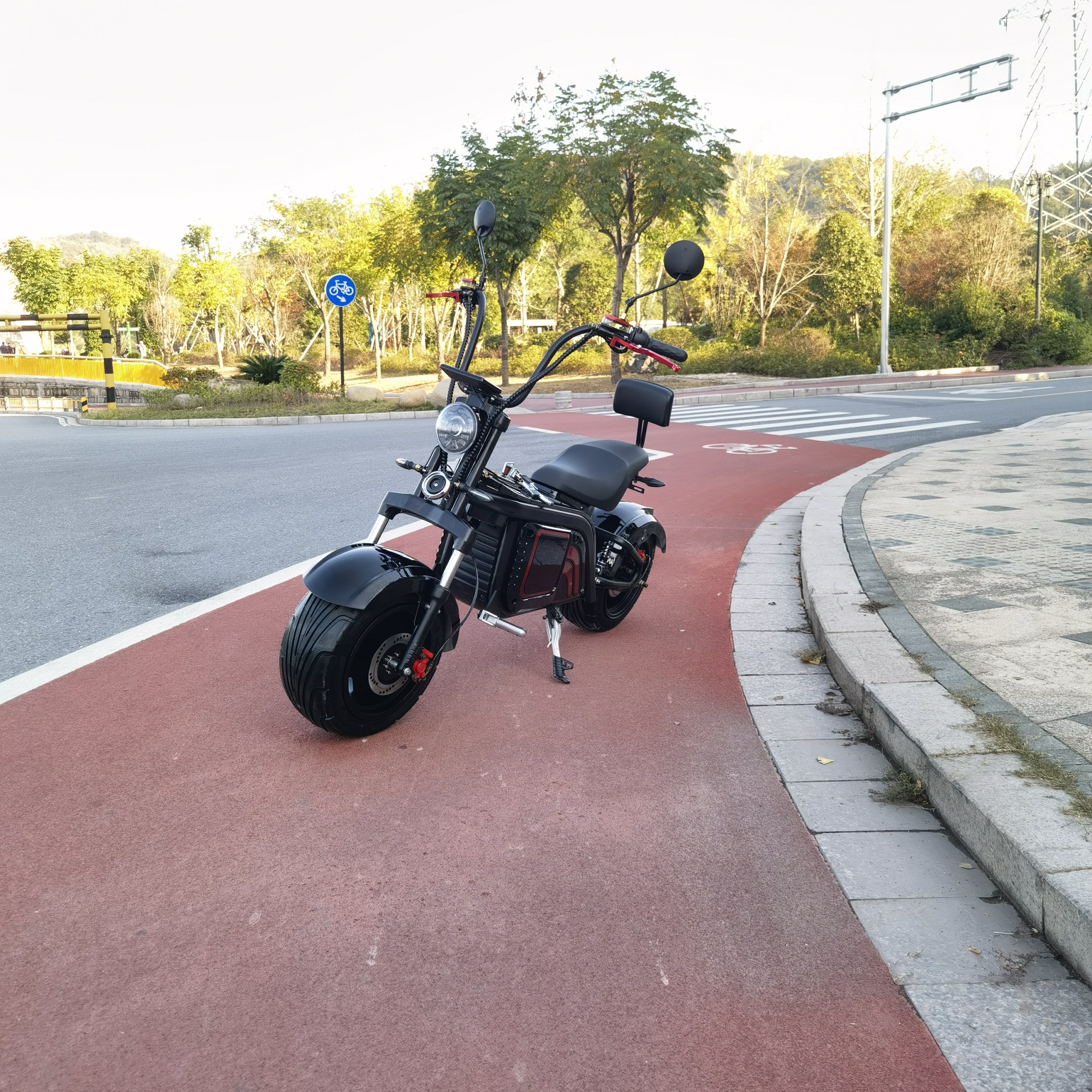New Design Citycoco 3000W 2000W 63V EEC/COC Electric Scooter