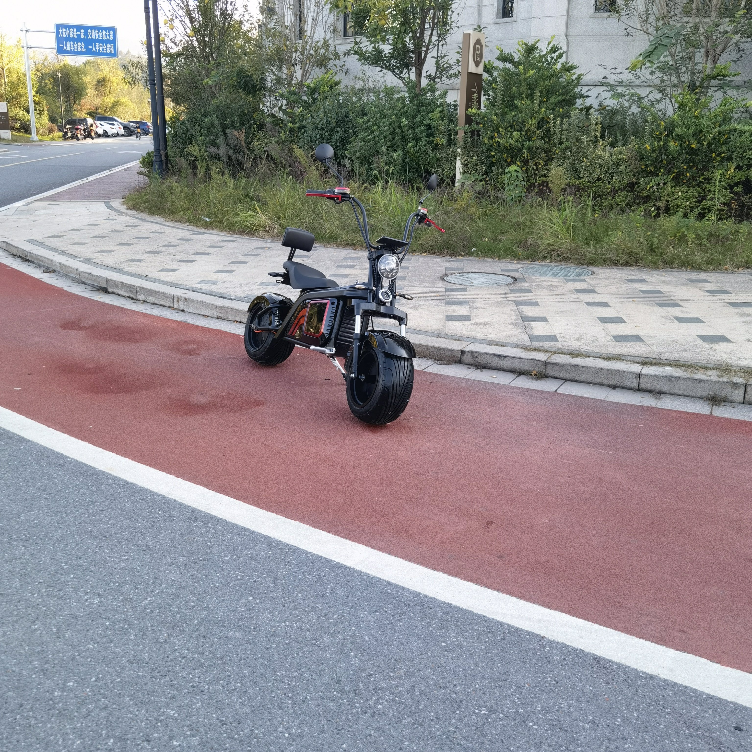 New Design Citycoco 3000W 2000W 63V EEC/COC Electric Scooter