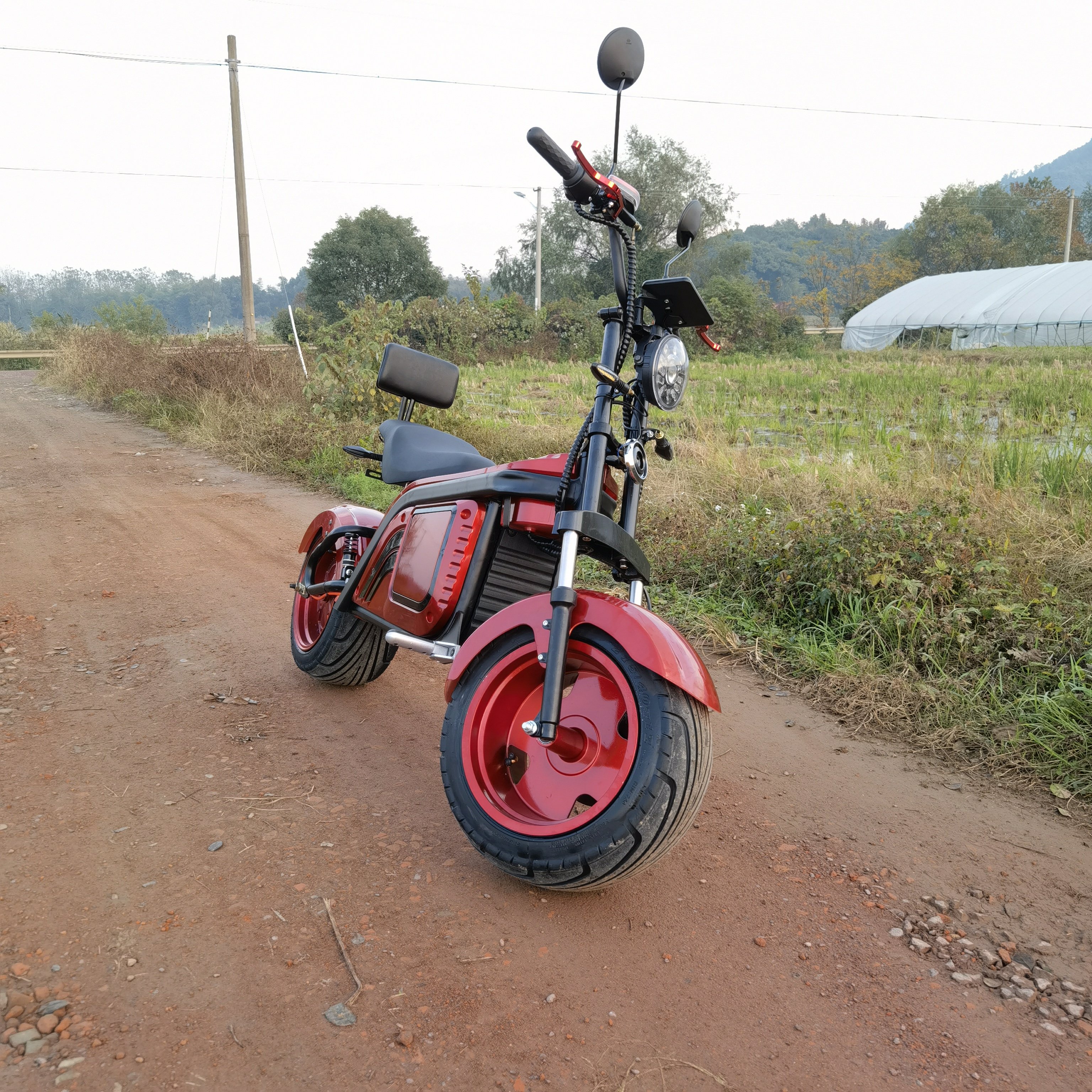 New Design Citycoco 3000W 2000W 63V EEC/COC Electric Scooter