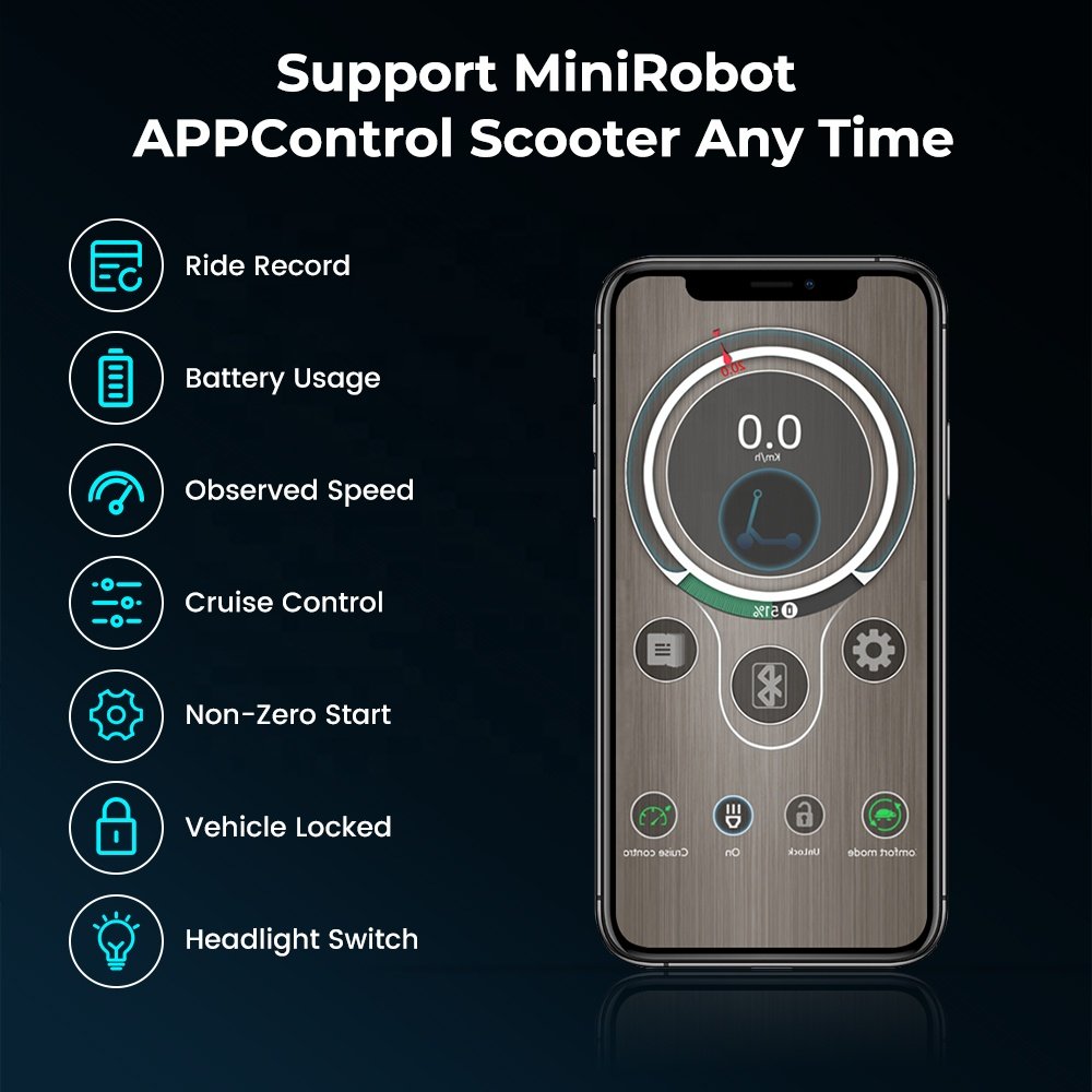Electric Scooter iX3 App control Long Range Electricity Scooter