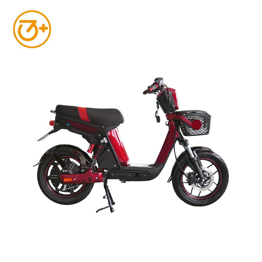 2023 New Design Citycoco Electric Scooter 800W Cheap Electric Motorcycle Bike