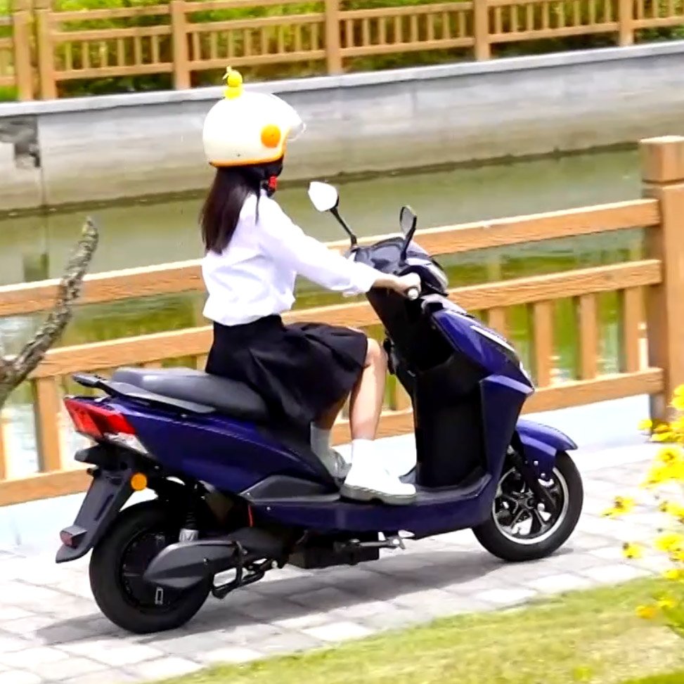 CKD SKD New Adult electric Motorcycle 600/800W 50km/h Speed 10inch 12inch electric scooter Motorbike