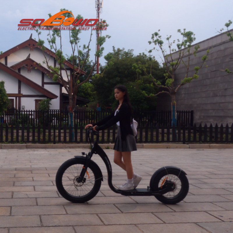 26 inch FAT Wheel Electric Scooter KICK BIKE ADULT DOG SCOOTER