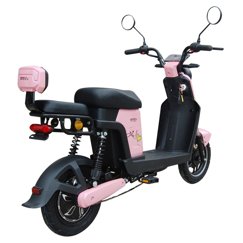 electric scooters manufacturer electric bike with hidden battery 10 inch 45km/h 800W 48V/60V electric scooter