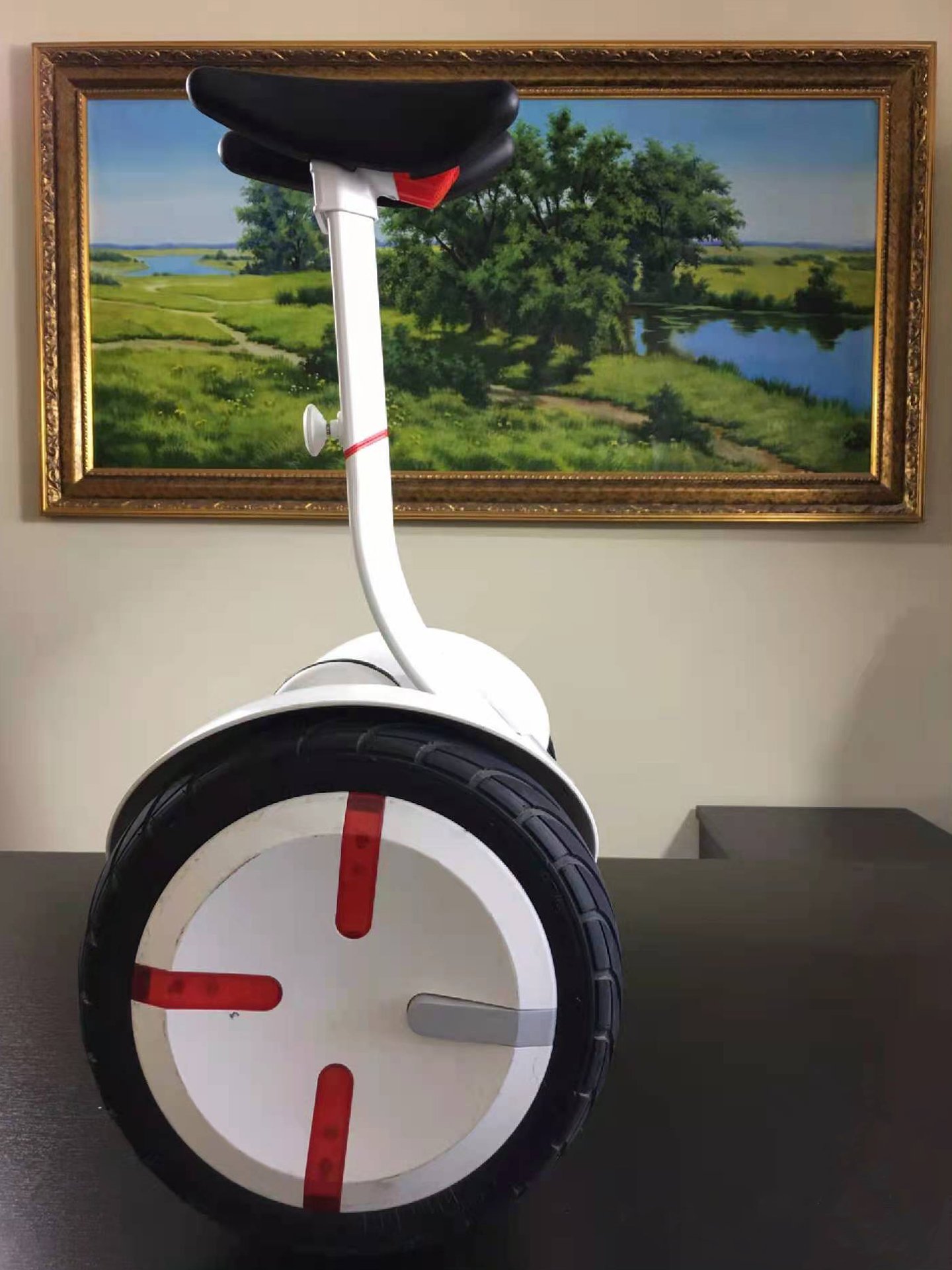 Original Ninebot Mini Pro Two Wheel Self-Balancing Electric Scooter 16Km/h 1600W for Kids Adults
