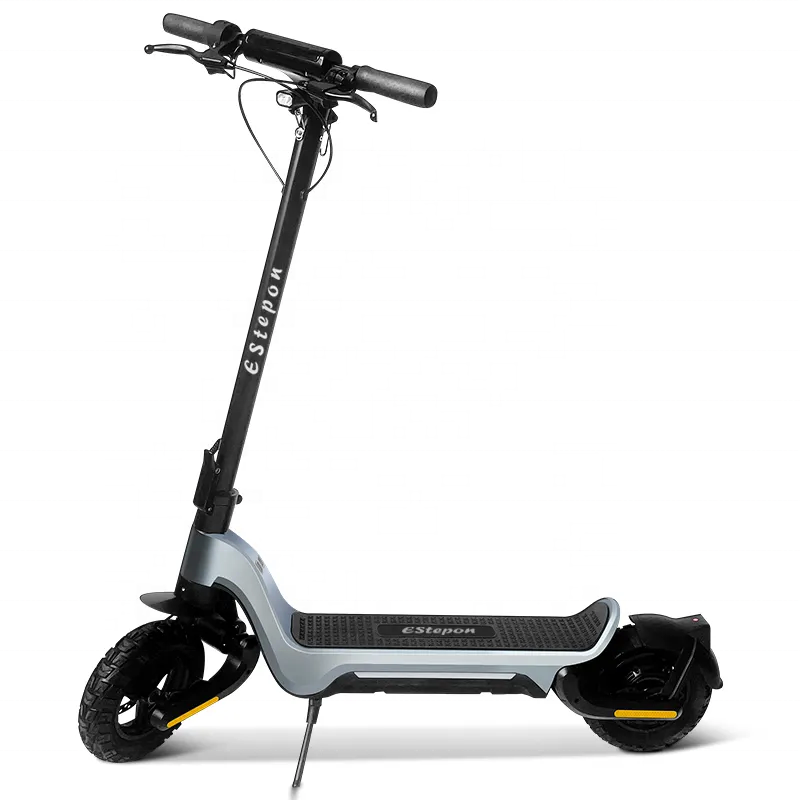 Best Selling US Stock 10 Inch Tyre Foldable Two Wheel Off Road Electric Scooter 1000W/2000W E-Scooter