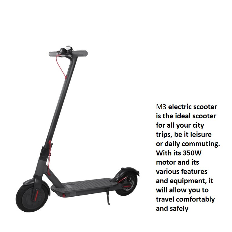 Custom Logo Trotinette Electrique Adulte Off Road Build-in Front Light Wholesale Electric Scooter for Sale