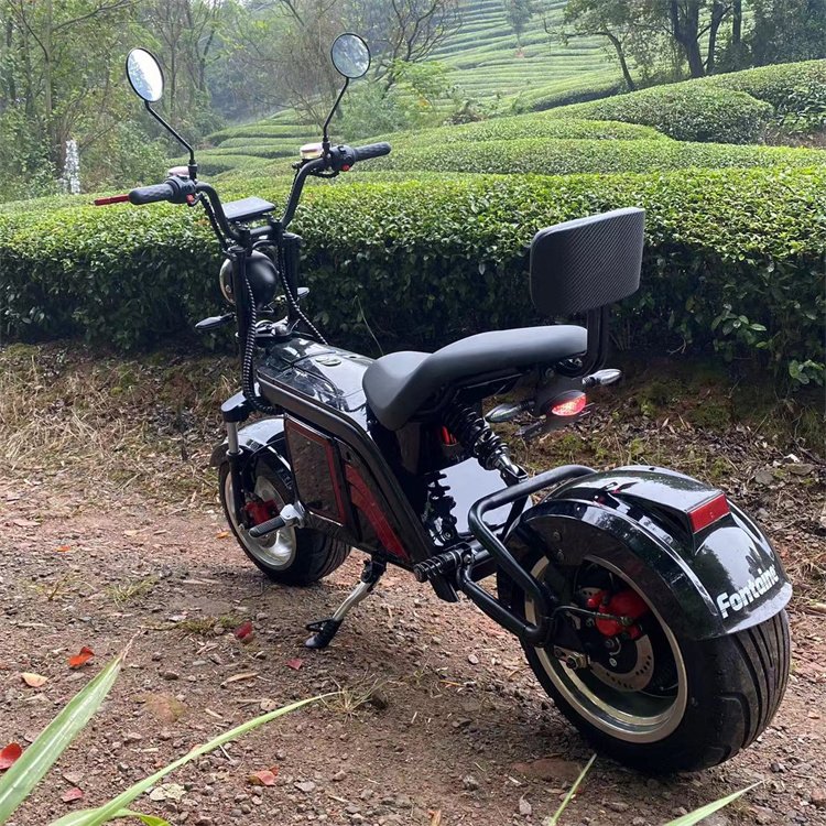 NEW Arrival Hot Model Chopper Electric Scooter Hulk Top Quality Citycoco EEC and COC Certified To EU and US Top Market