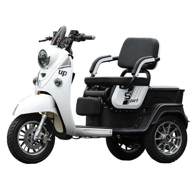 3-Wheel Electric Trike with Powerful 800/1000W Long Range 80km Disc Brake Mobility Unisex Passengers with Max Speed of 30km/h