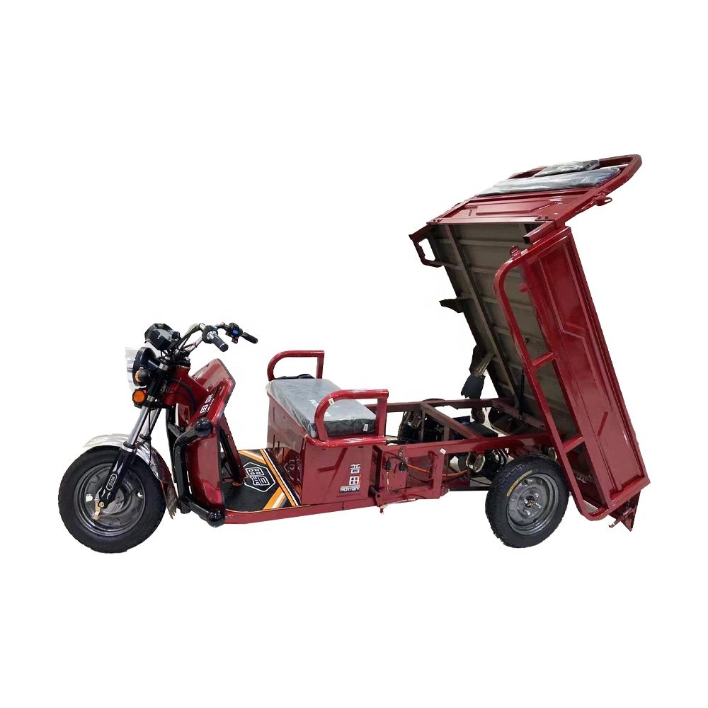 Moto Haoju Tricycle Adult Ebikemanufacturervietnam Quadbike Trike New Design E Bike 3 Wheel 300cc 2000W Electric Motorcycle 60V