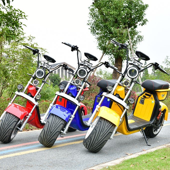 new arrival bigger seat electric scooter citycoco Christmas gift EEC/COC aluminum alloy good quality