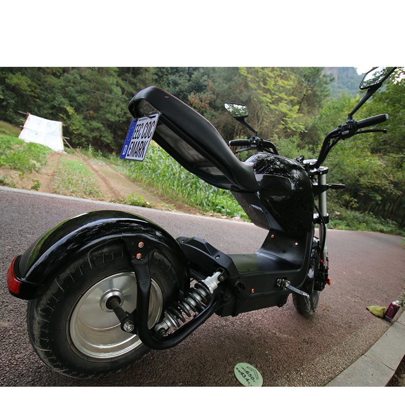 Citycoco tire fat motorcycle coc 60v 20ah lithium battery for electric scooter