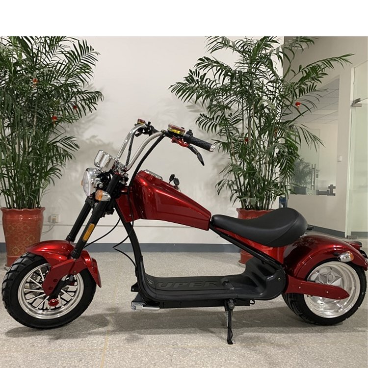 high end CE heavy off-road fat tire dual suspension electric scooters motorcycle citycoco 3000w