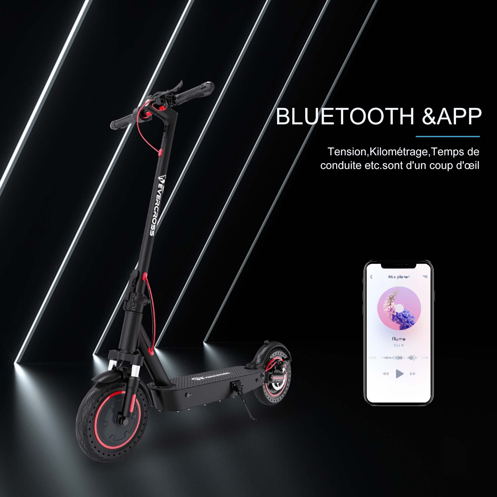 Hot Sale Electric Scooter USA 10inch 36V Fat Tyre Folding Smart Electric Scooter Off Road Electric Scooter Big Wheels