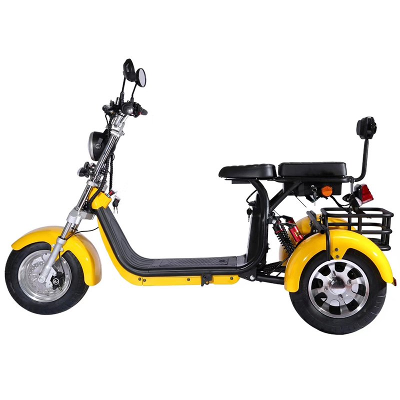 3 Wheels Fat Tire Citycoco Electric Scooter To Europe and US Three Wheel Electric Motorcycle
