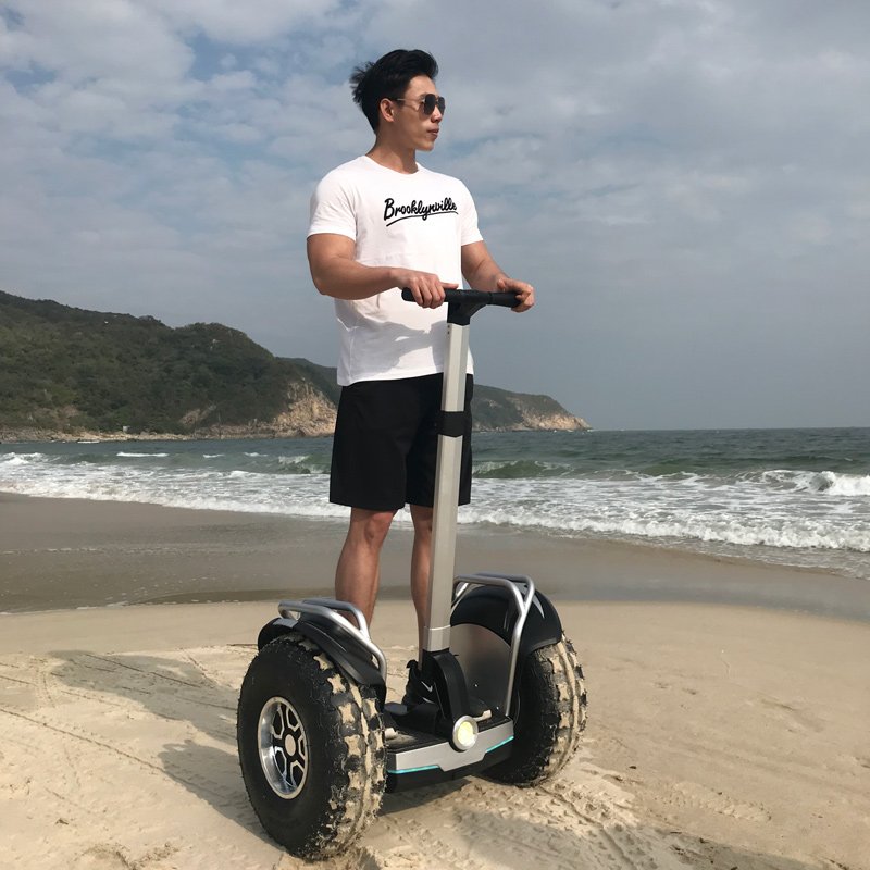 fashion design patent security use 19 inch fat tire two wheel electric chariot covered electric scooter