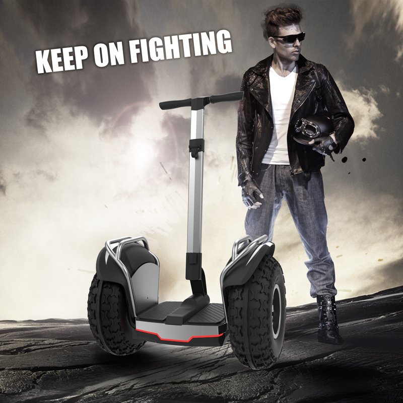 fashion design patent security use 19 inch fat tire two wheel electric chariot covered electric scooter