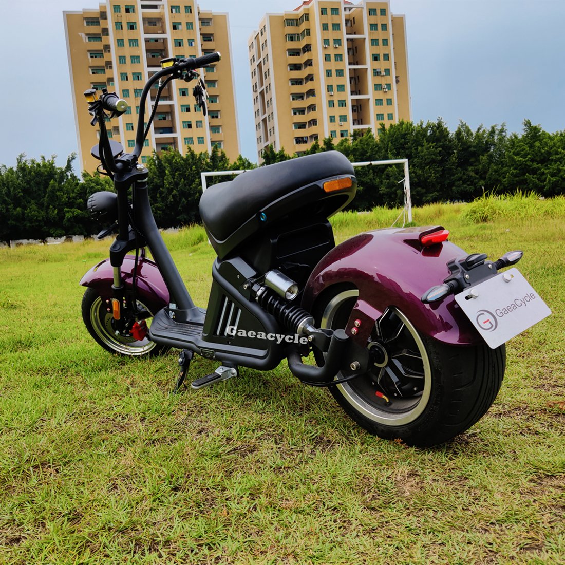 EU Warehouse Gaea M2 60V40AH Citycoco 3000W EEC Chopper Electric Scooter
