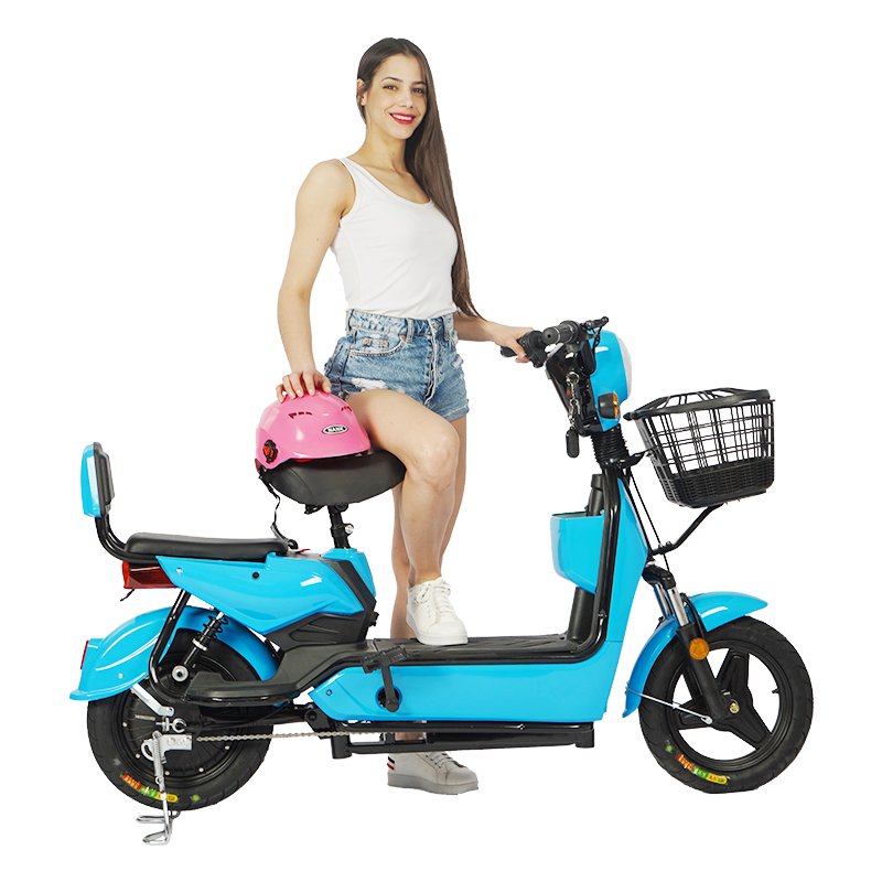Powerful Adult Electric Motorcycle Bicycle /Electric Scooter/Electrical Motorcycle Scooter