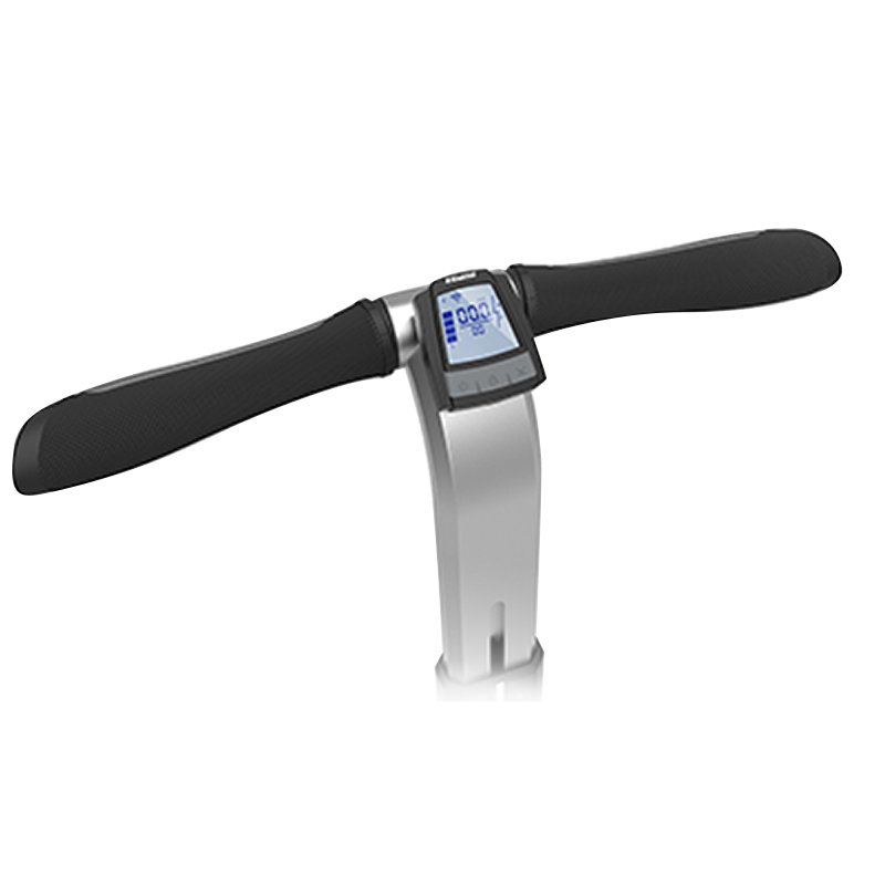 ESWING Two rounds Self Balancing Electric Scooter LCD ES6+ Remote control