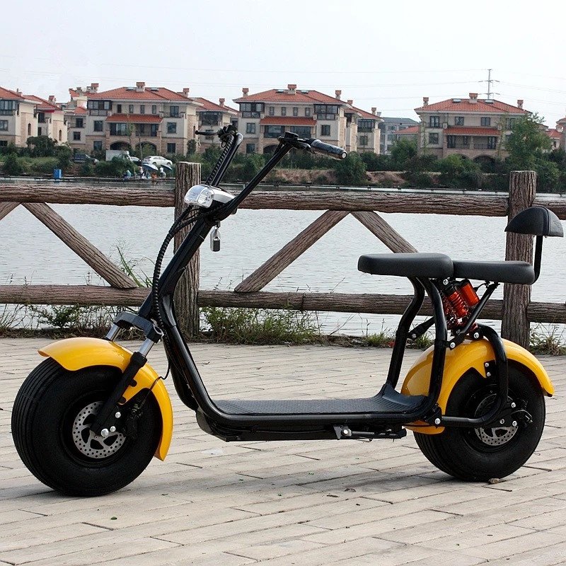 mini electric scooter