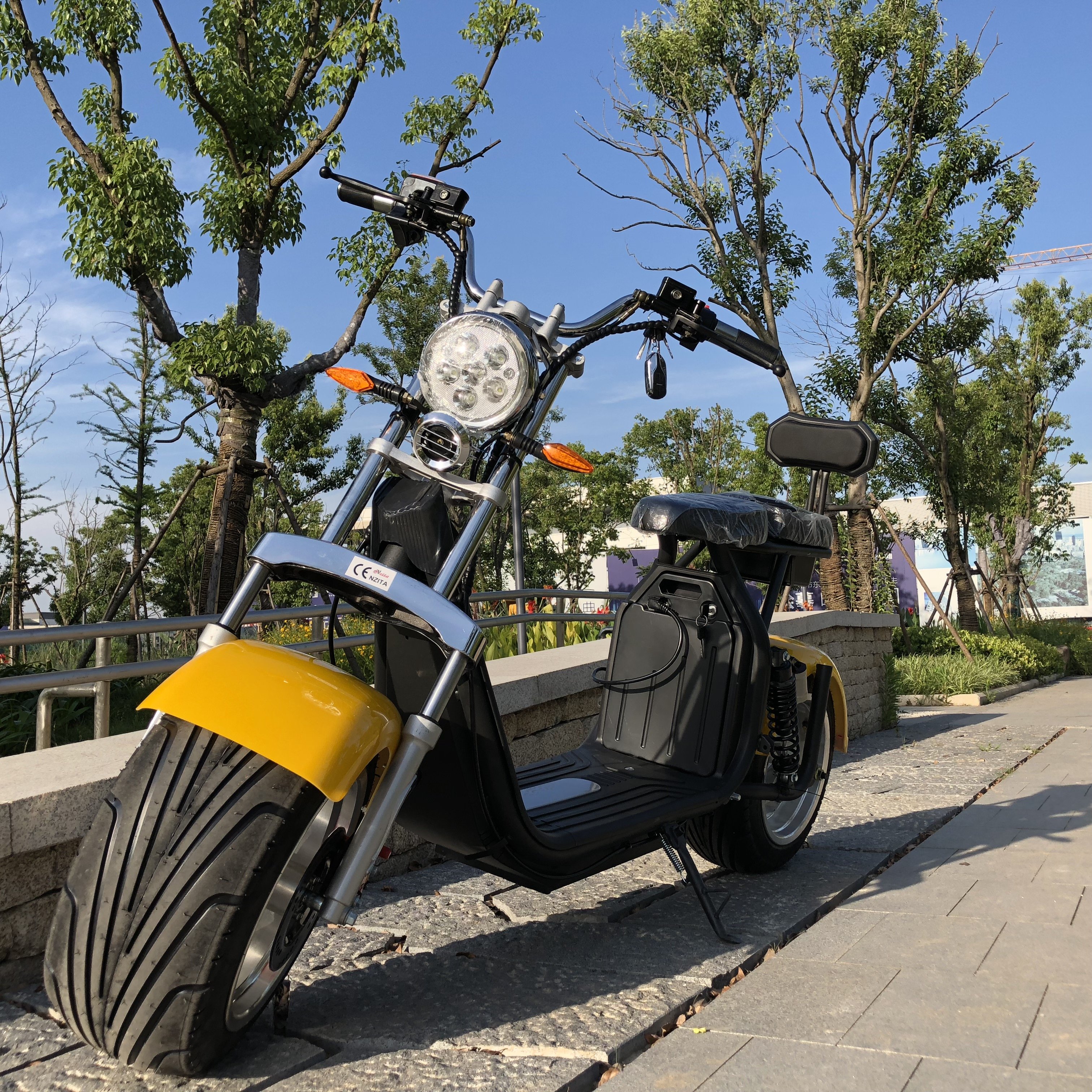 2024 New Electric Scooters For Men 1500W/2000W Aluminum Alloy Newest Design E-Bike 10 Inch halei Durable Big Wheel Citycoco