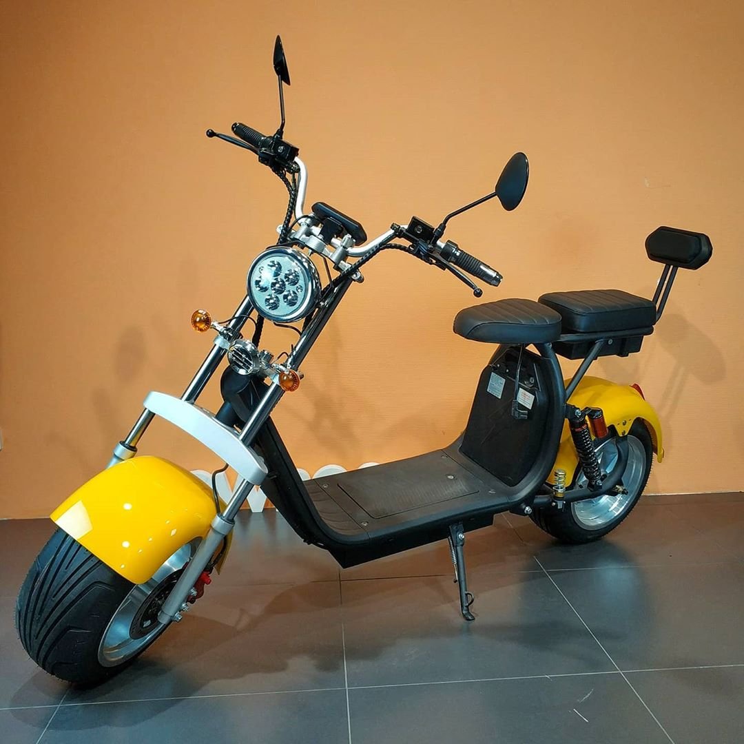 2024 New Electric Scooters For Men 1500W/2000W Aluminum Alloy Newest Design E-Bike 10 Inch halei Durable Big Wheel Citycoco