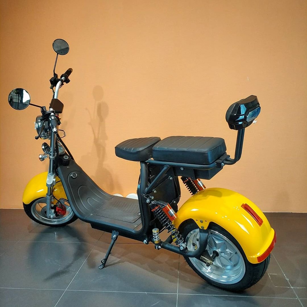2024 New Electric Scooters For Men 1500W/2000W Aluminum Alloy Newest Design E-Bike 10 Inch halei Durable Big Wheel Citycoco
