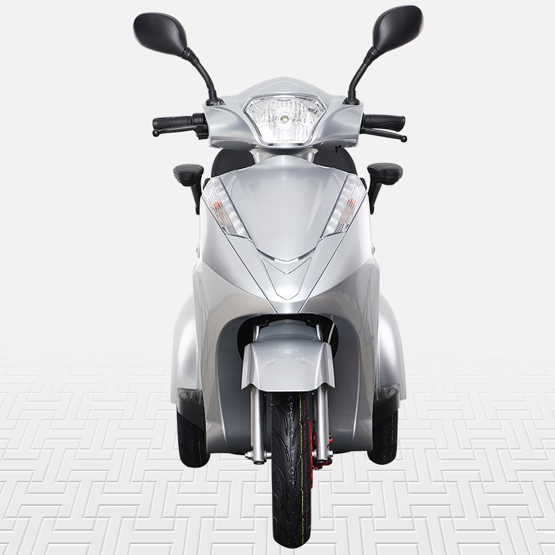 VISTA-2 1000w Electric Scooter E-trike Electric Tricycle with Comfortable Seat for Handicapped