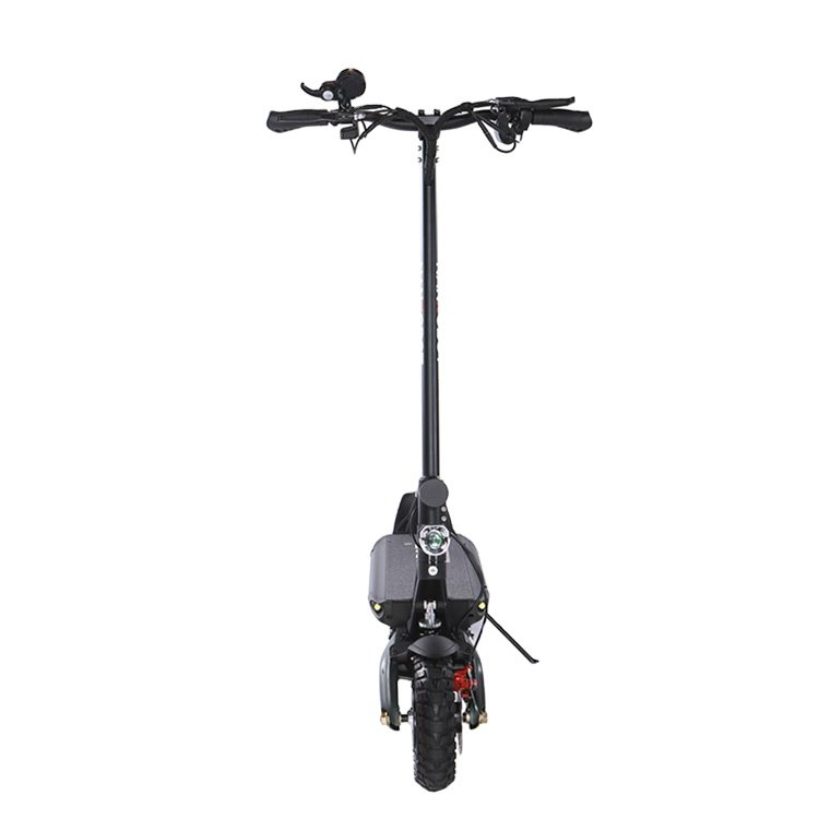 Nanrobot China Newest Original D6+ 2000w Dual Motor Adult Electric Scooters