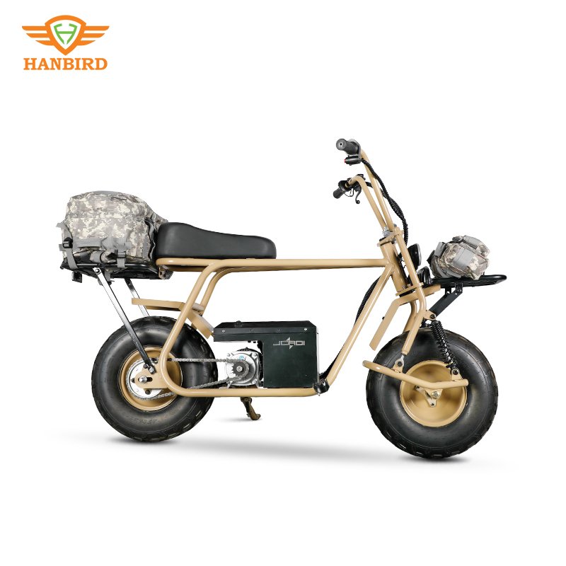 Direct selling 1000w ciytcoco electric scooter Two fat Wheels 60V Lithium Battery mobility for adult like electric dirt bike