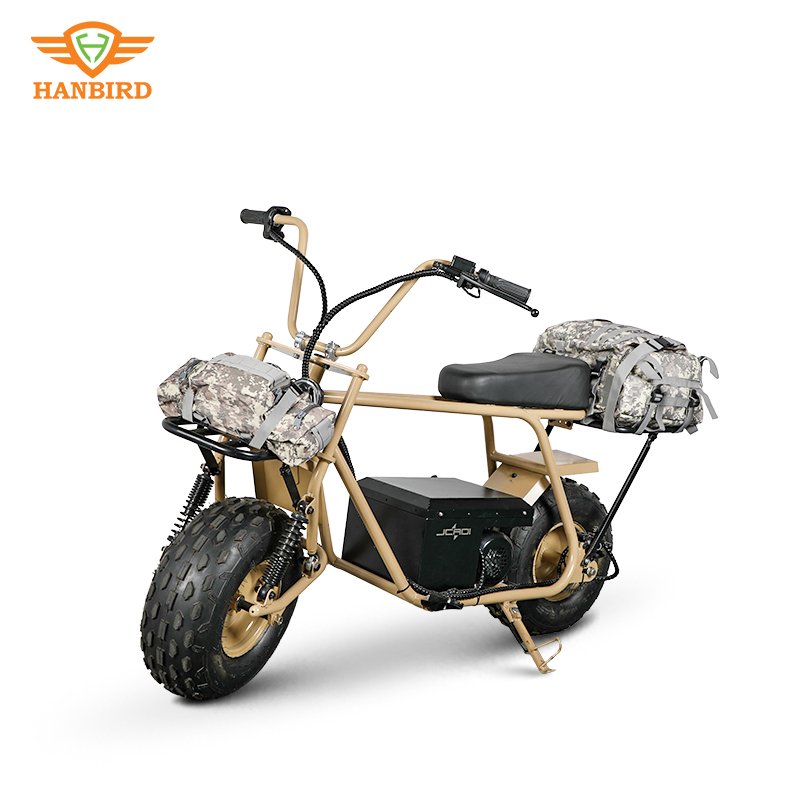 Direct selling 1000w ciytcoco electric scooter Two fat Wheels 60V Lithium Battery mobility for adult like electric dirt bike