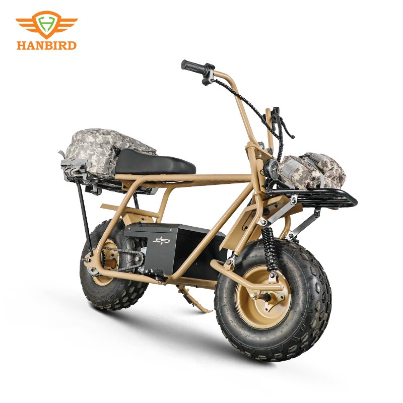 Direct selling 1000w ciytcoco electric scooter Two fat Wheels 60V Lithium Battery mobility for adult like electric dirt bike