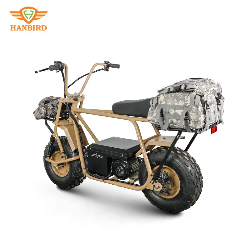 Direct selling 1000w ciytcoco electric scooter Two fat Wheels 60V Lithium Battery mobility for adult like electric dirt bike