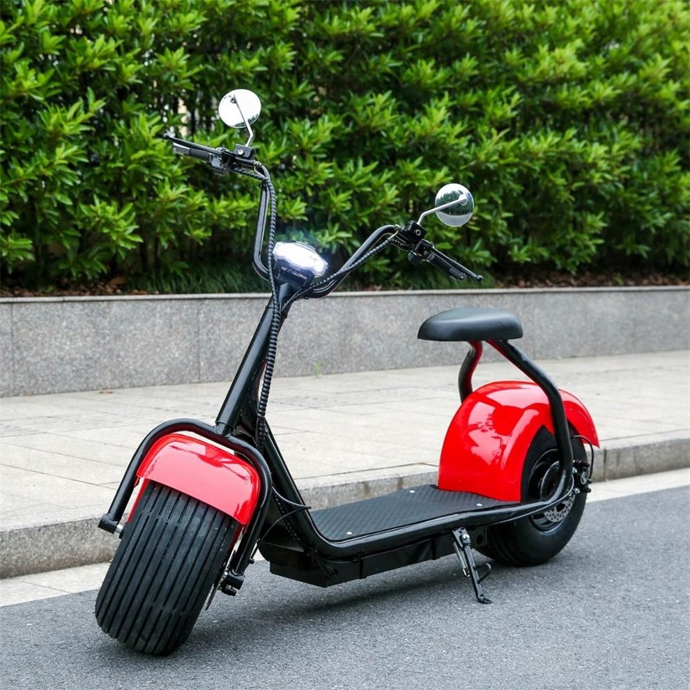 2024 new model citycoco electric scooter 2 wheel citycoco 2000w electric fat tire citycoco