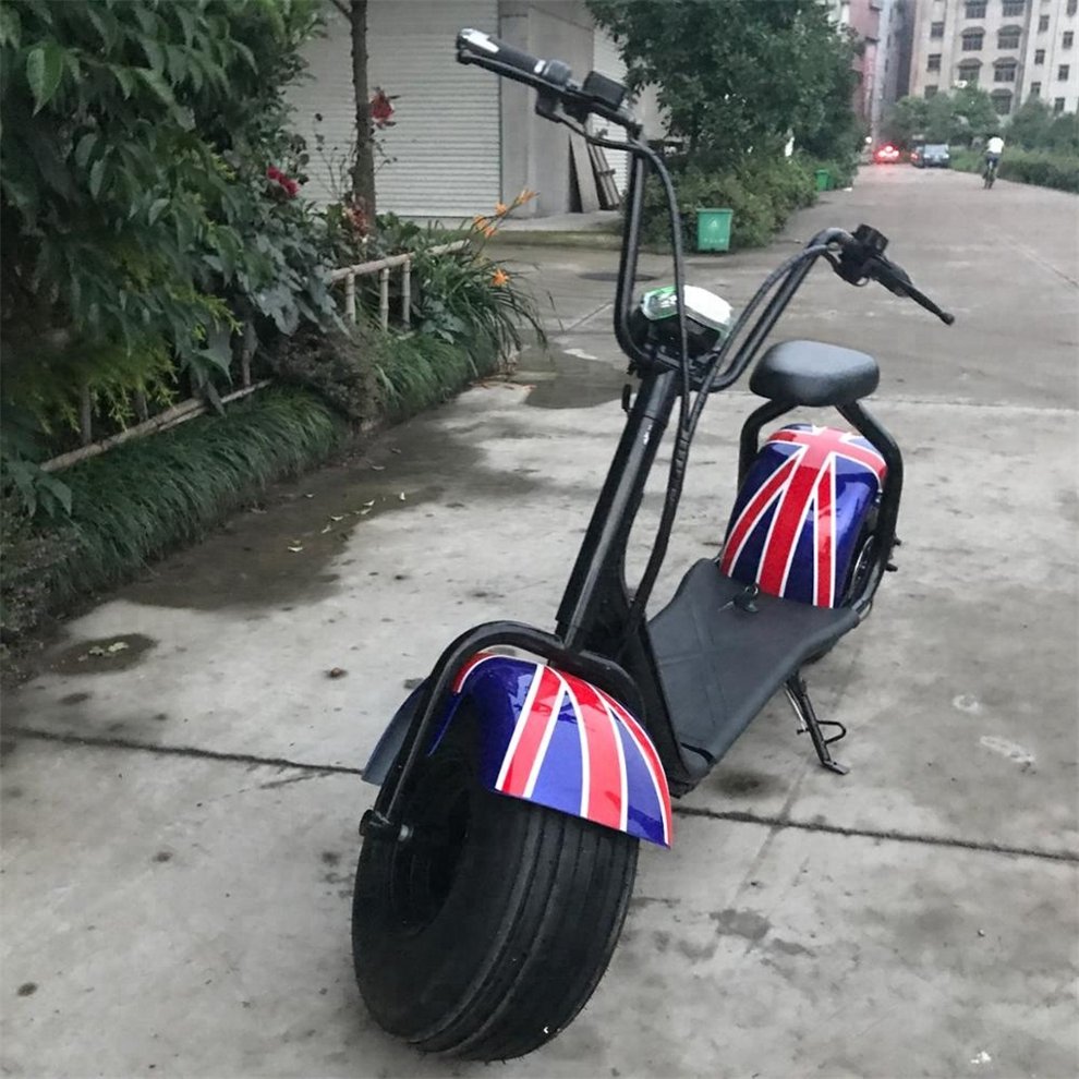 2024 new model citycoco electric scooter 2 wheel citycoco 2000w electric fat tire citycoco