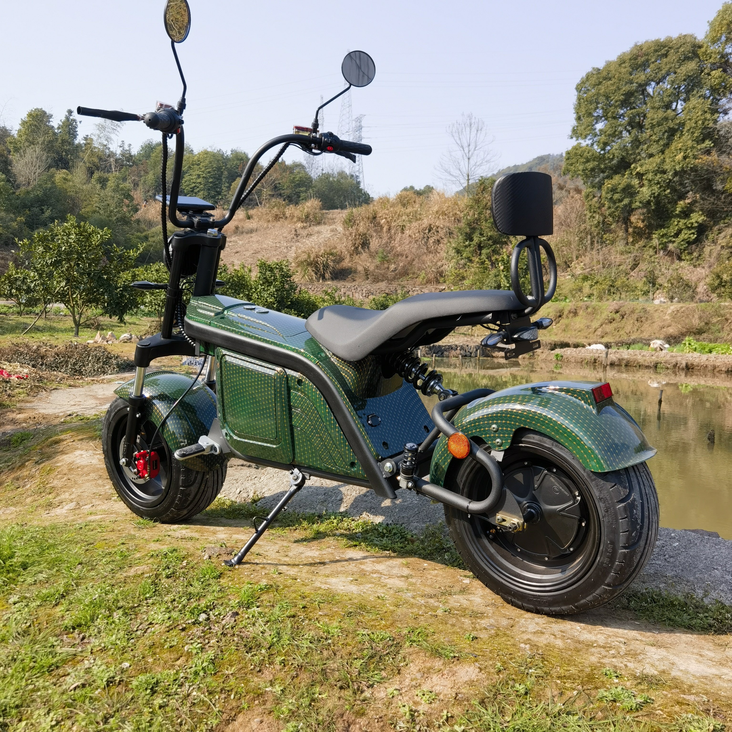 New Disc Brake Electric Scooters EEC/COC Citycoco 1500W/2000W/3000W Electric Bike Steel Frame For Men Electric Bike Chopper